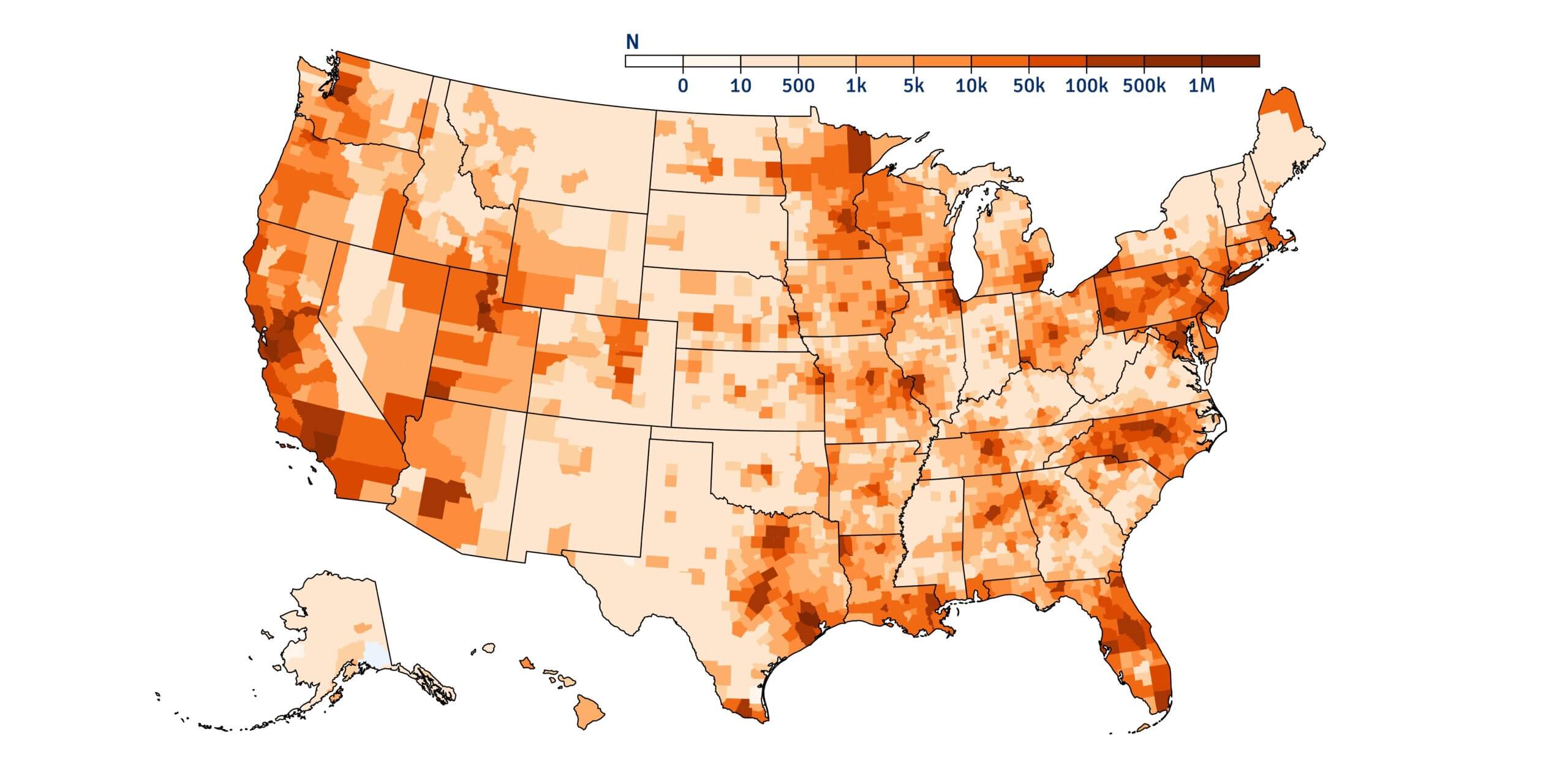 Patient Distribution 2025